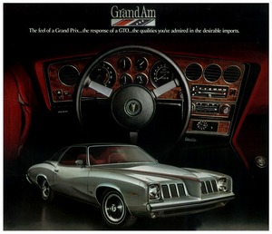 1973 Pontiac Grand Am-01.jpg